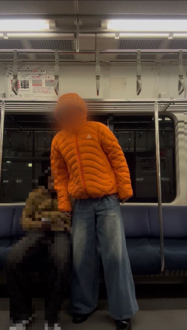 【最終値下げ‼️】NIKE ACG プリマロフト Lava Flow ダウン L