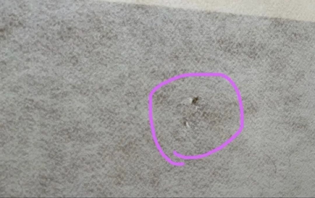 美品*シモンズ　ベッドフレーム　セミダブル　北欧風　送料込み