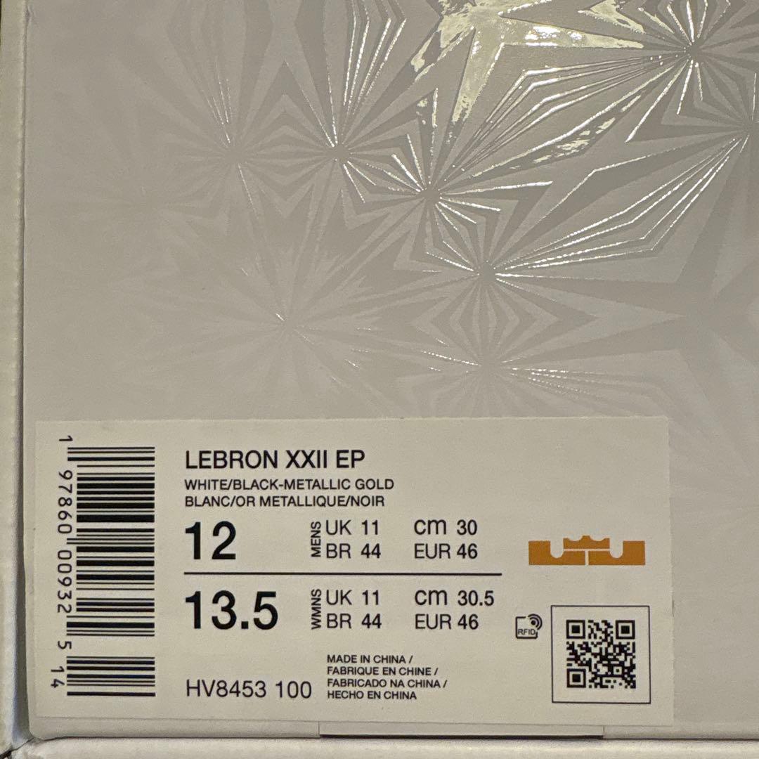 Nike Lebron XXII レブロン22 30cm