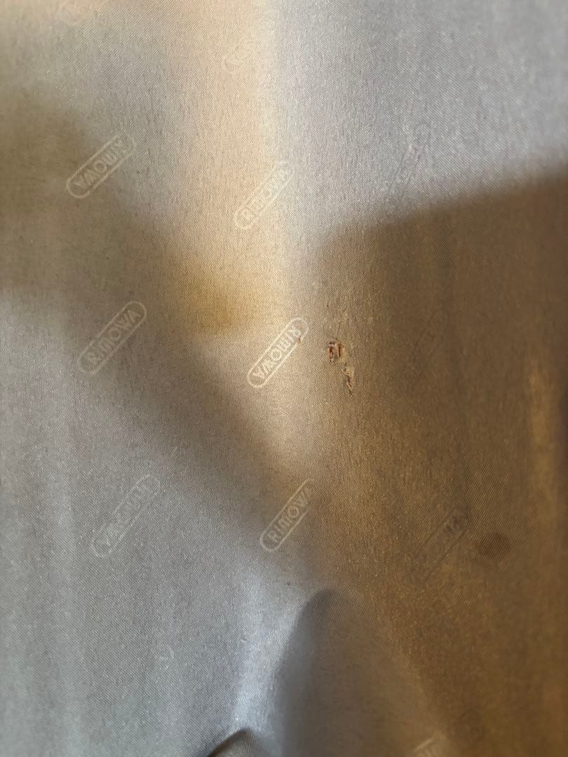 RIMOWA リモワ　SALSA サルサ4輪 65L レッド　旅行