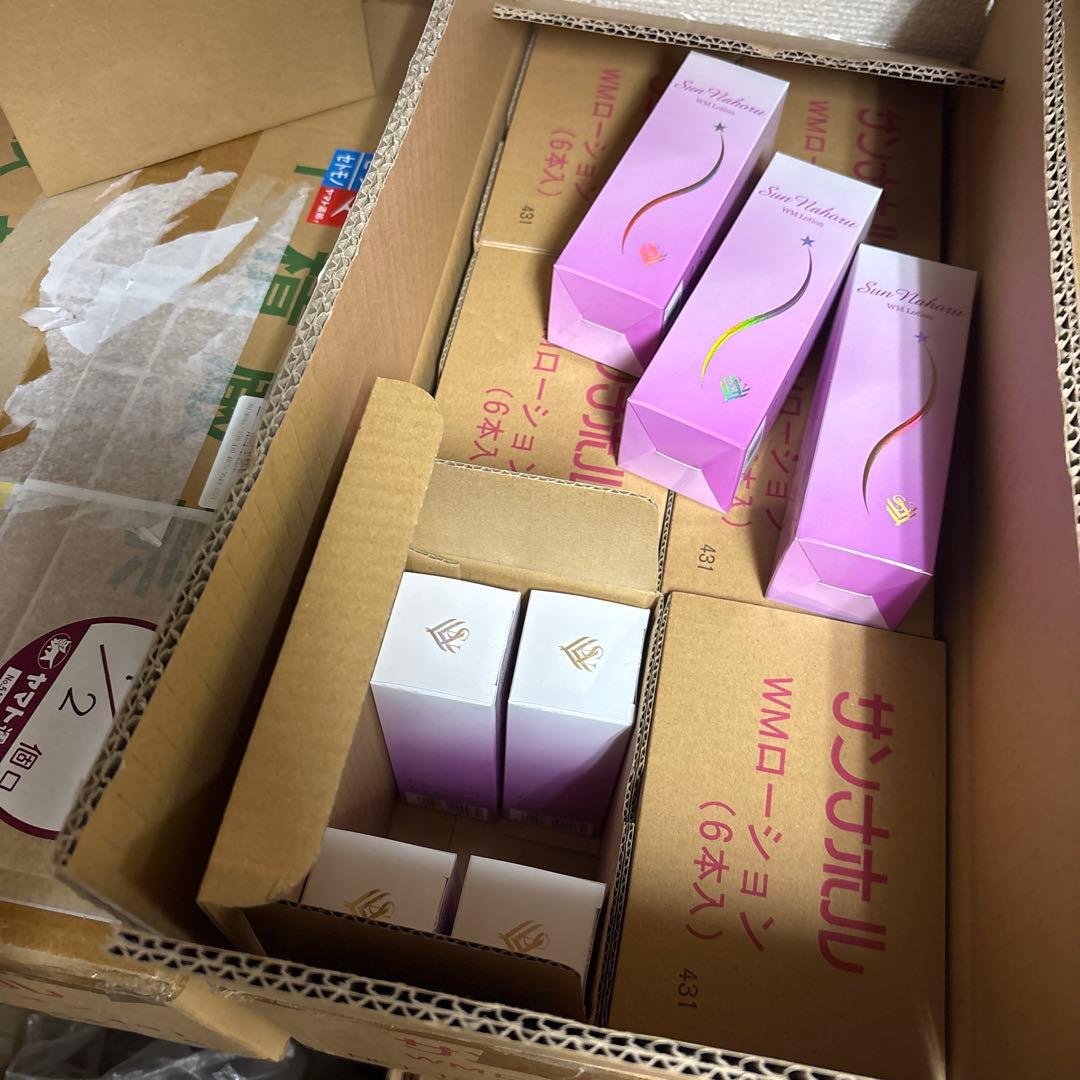 サンナホル　WMローション120ml 3本　分包他　商品案内説明書付き