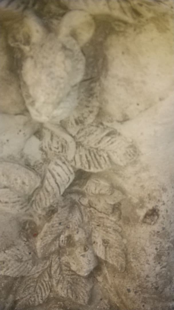 ワンダーデコール　オブジェ