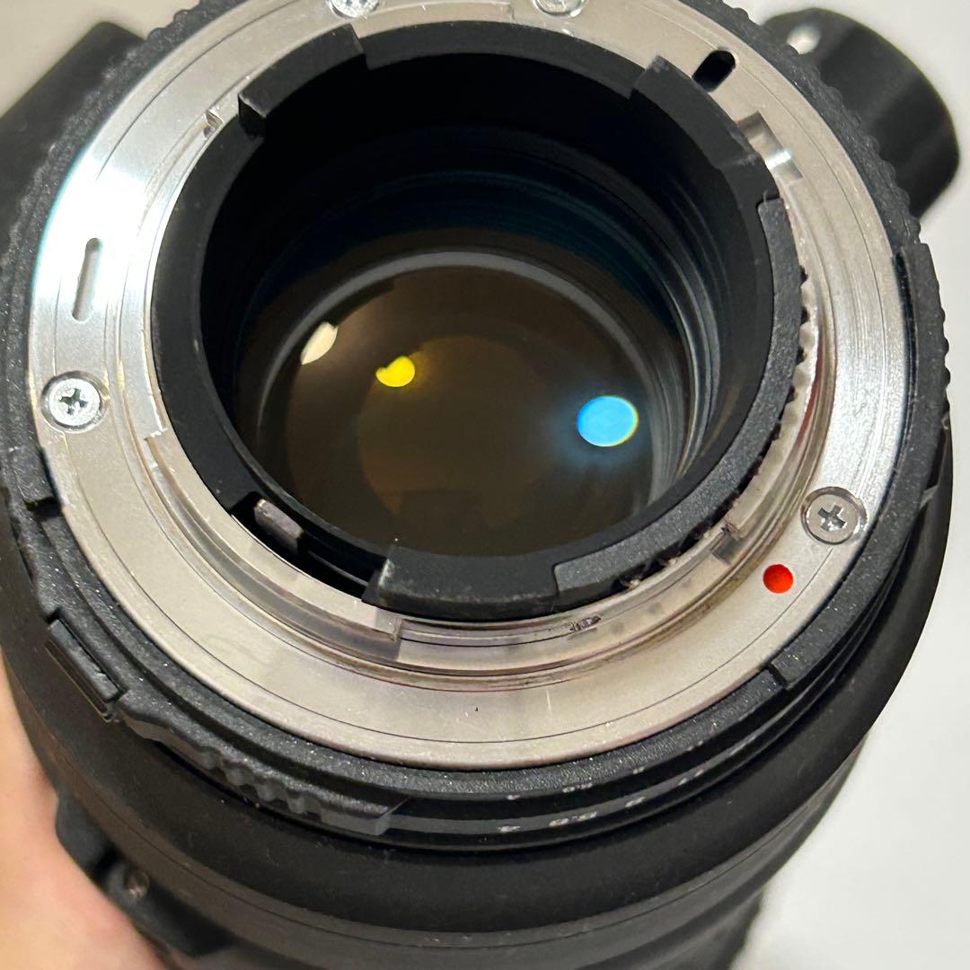 SIGMA APO 100-300mm F4 EX DG HSM ニコン