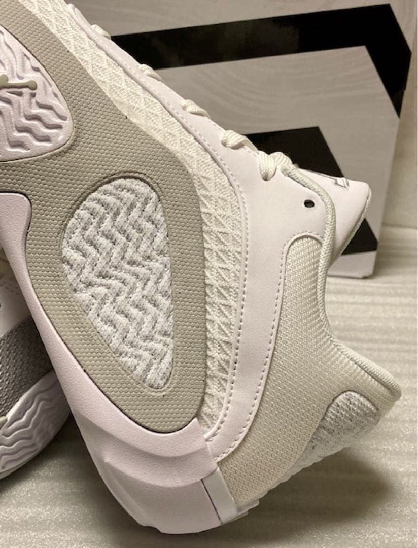 NIKE JORDAN TATUM 2 PF 26cm【タグ付 新品 未使用品】