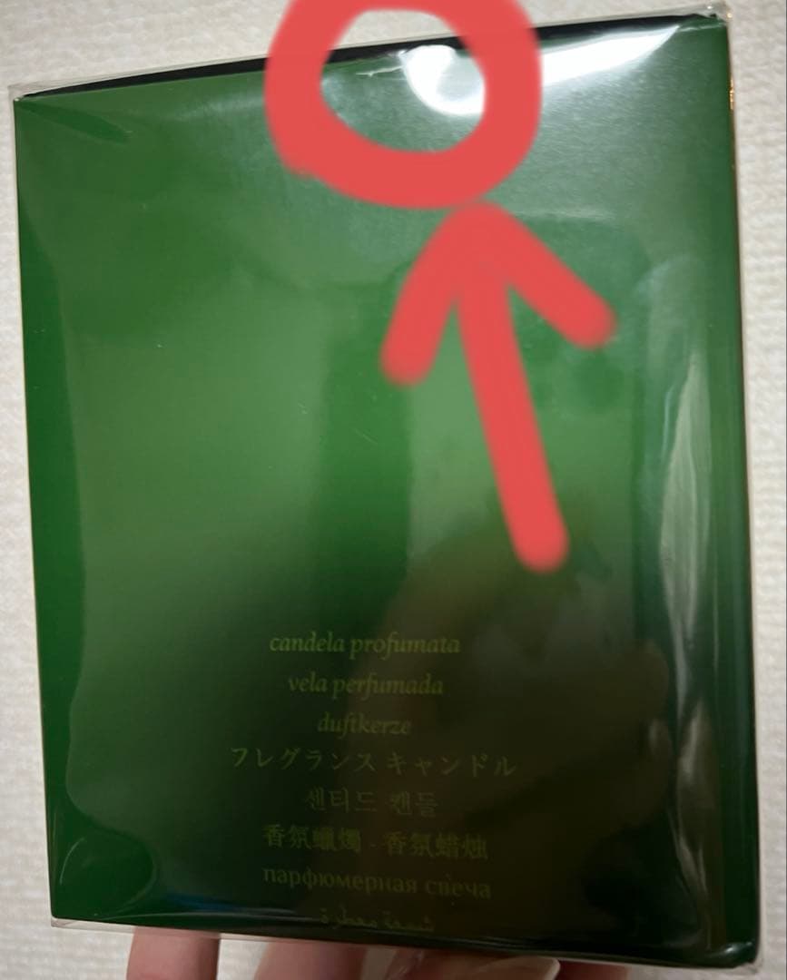 diptyque Figuier 香り付き COLOR CANDLE 300g