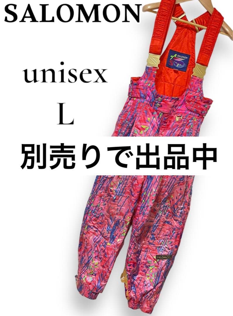 SALOMON サロモン ユニセックス ウィンター ジャケット カラフル