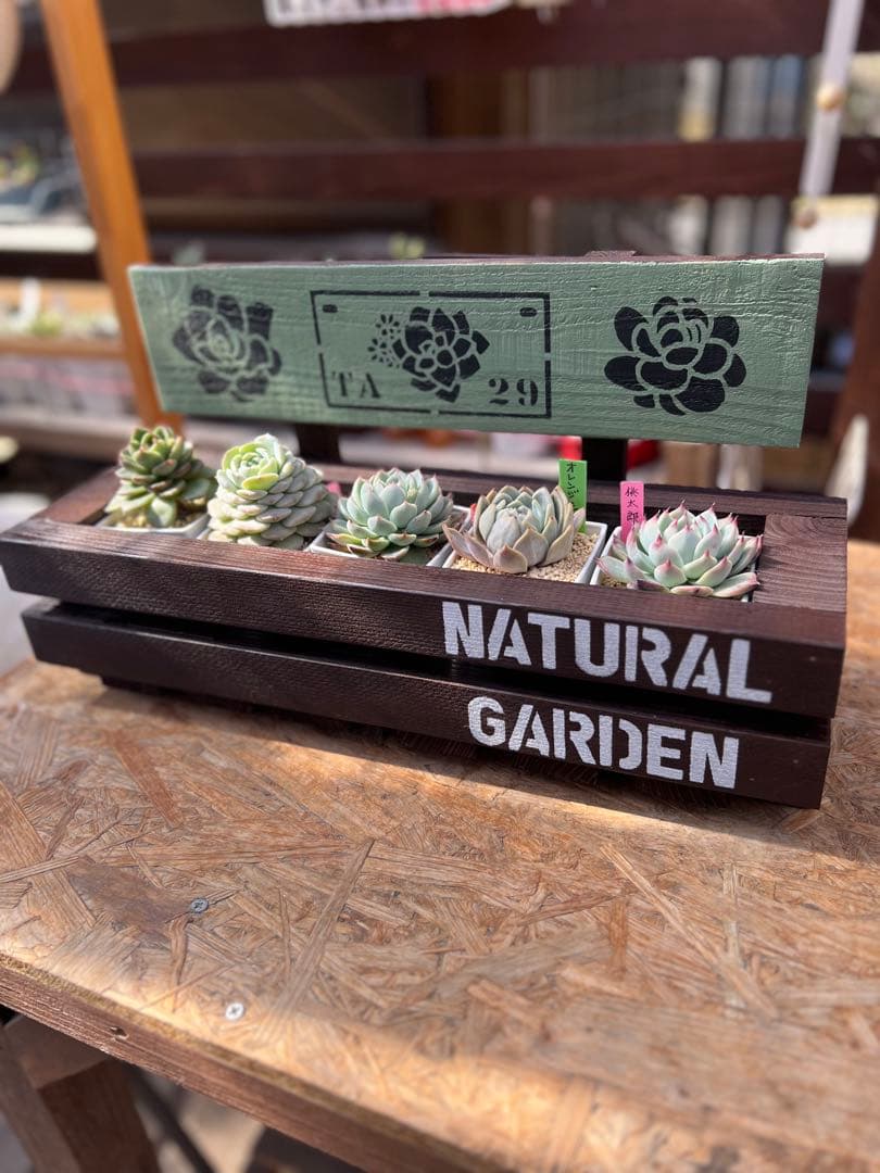 きよさんページになります！