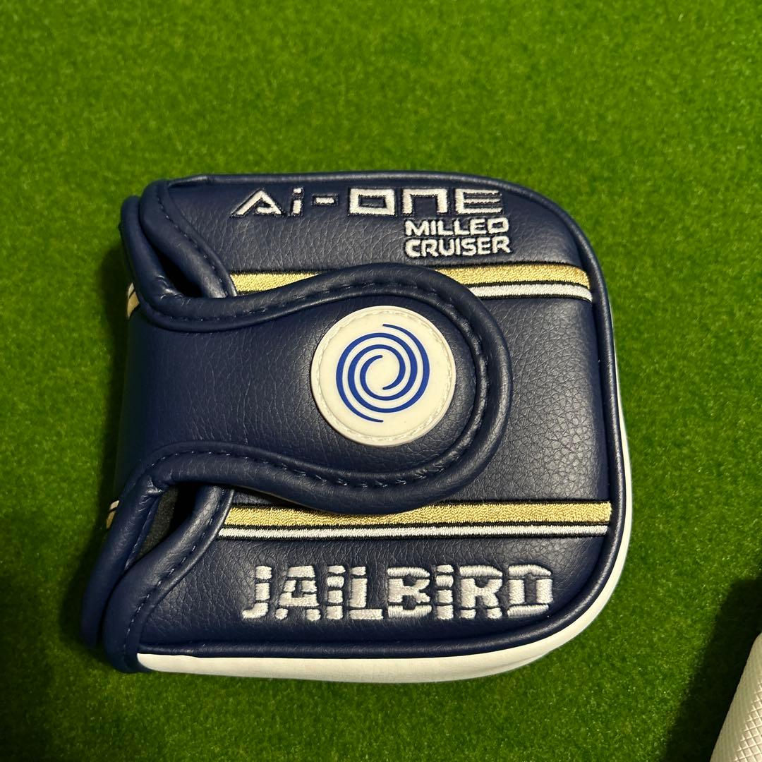 オデッセイAI-one JAILBIRD MILLD CRUSER