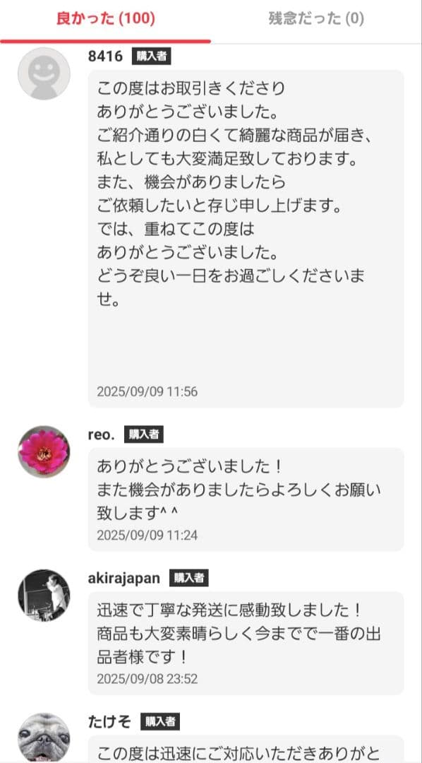 【新品・未使用】リンナイ R-891VMSⅢ-402 ガスストーブ 都市ガス用