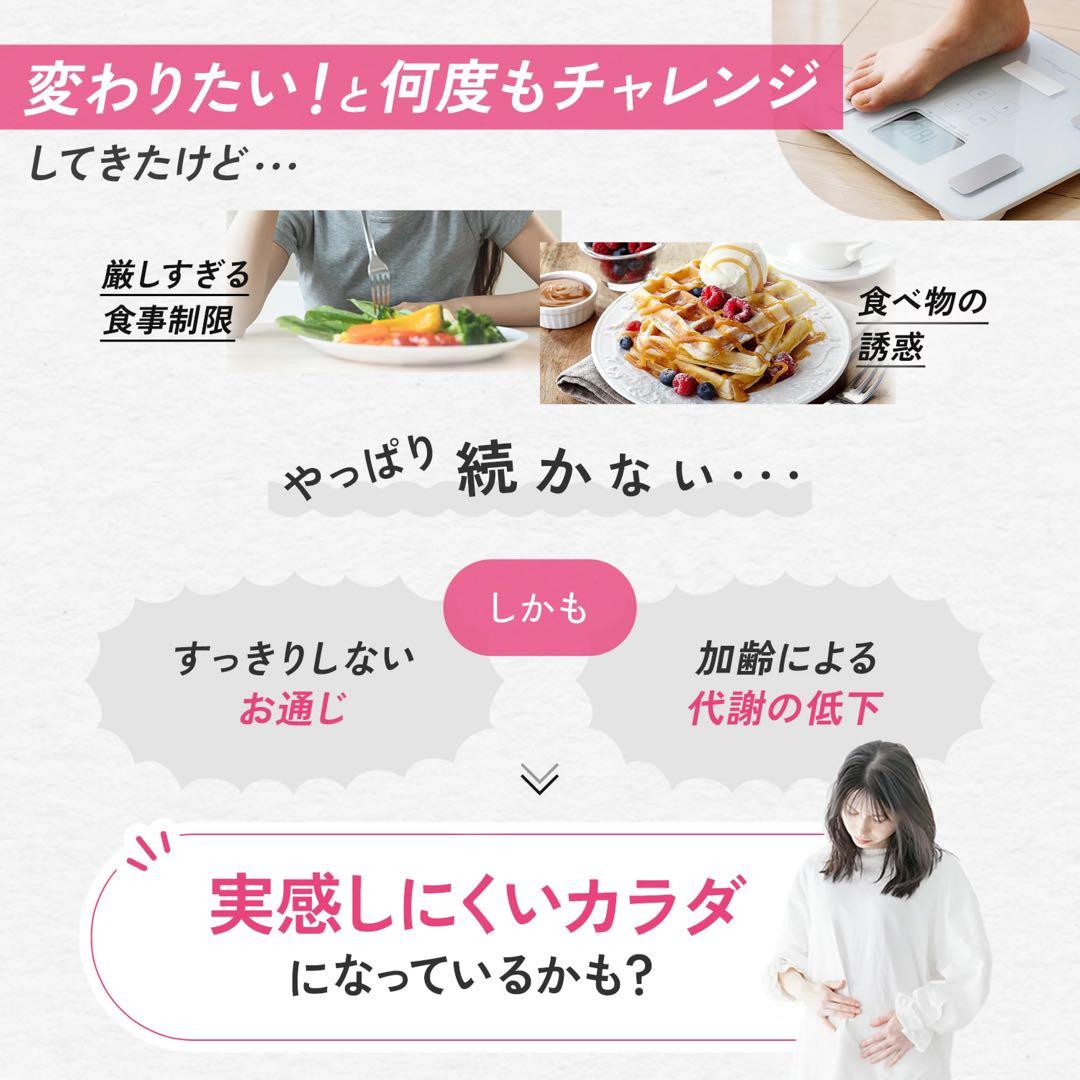 ファンケル☆プレミアムカロリミット☆40日分１袋＋20日分２袋