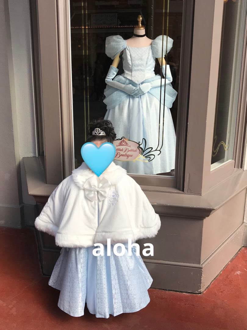 専用 ビビディバビディブティック シンデレラ プレミアム ドレス 9点