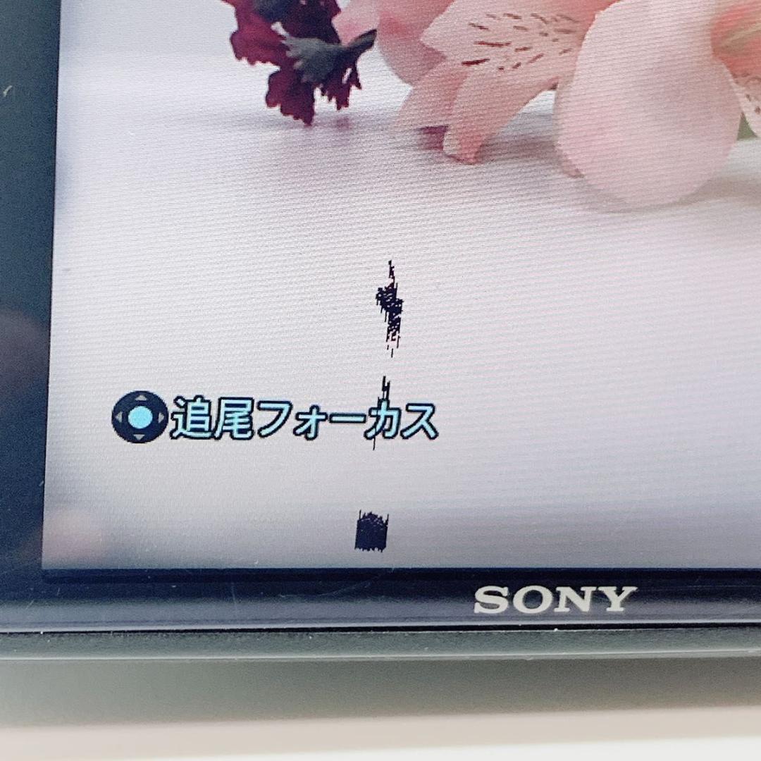 SONY ソニー　DSC-HX50V Cyber-shot デジカメ M300