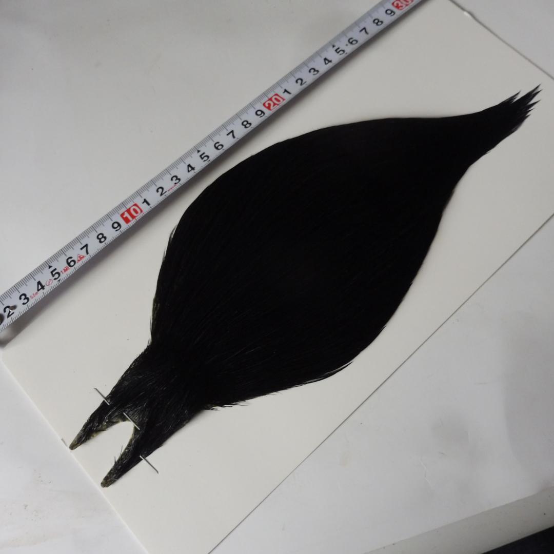 ホフマン コックハックル BLACK