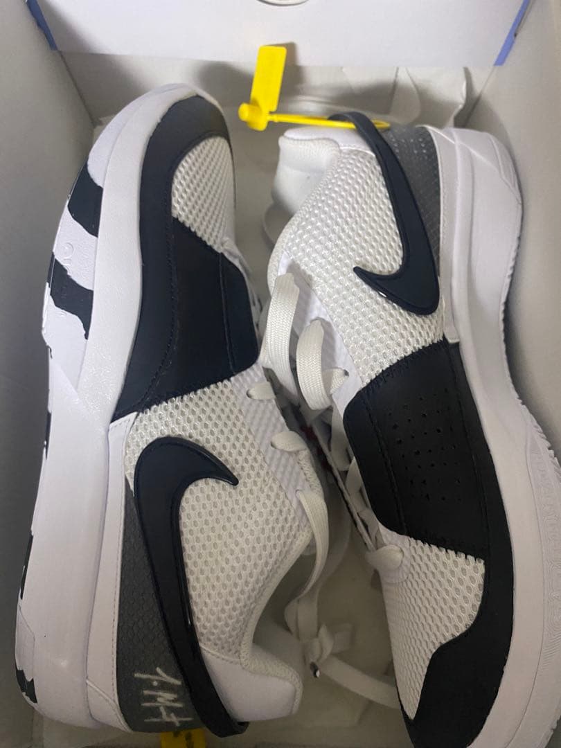 Nike JA 1 EP Scratch 27.5cm バッシュ