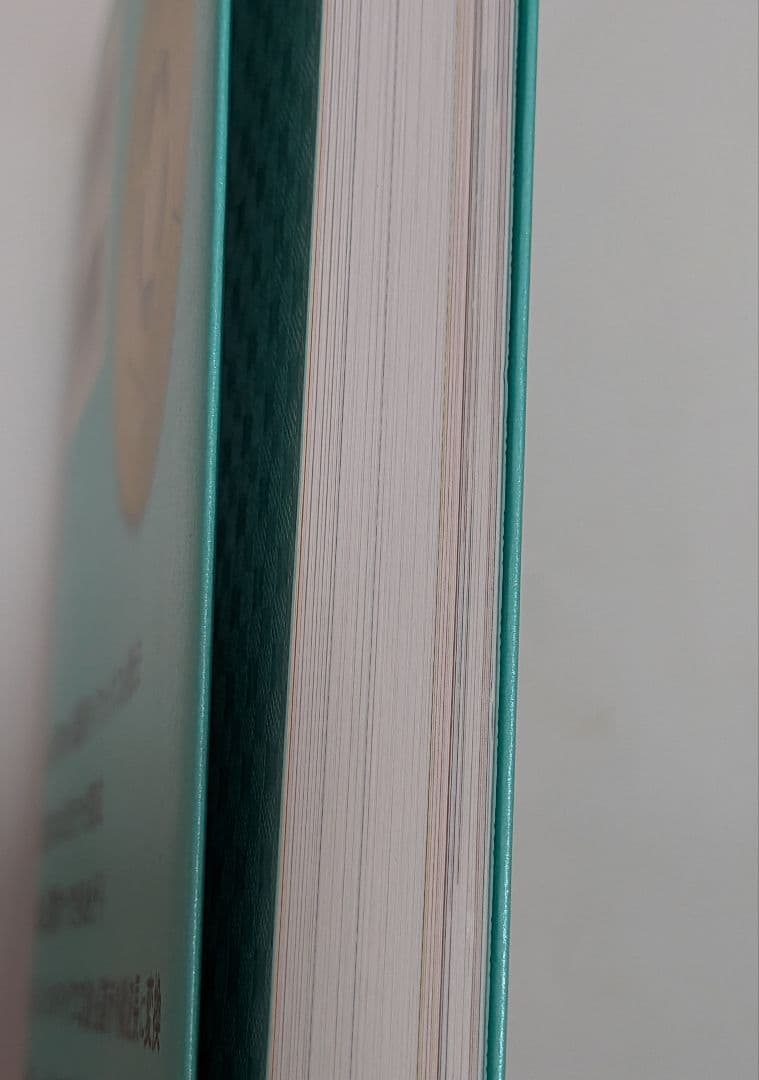 FTW フォーグ・イヤリング・Bookの三点セット【最終値下げ】