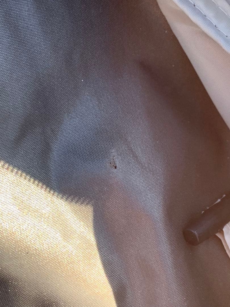 ゼインアーツ　ゼクーM テント　キャンプ　設営確認済