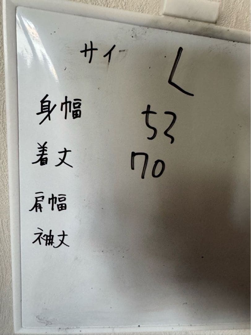 韓国代表 長袖 トレーニングトップ ウェア 13年モデル NIKE 試着のみ