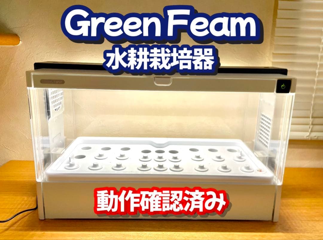 2色ミックス コスモス種子 10g・30g・50g・