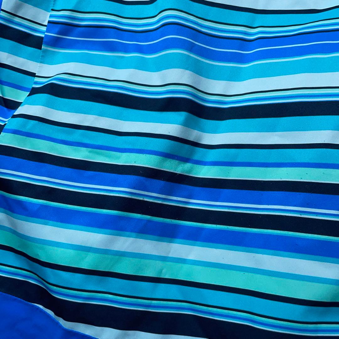 ハイエンド MATEモデル MIZUNO ミズノ スキーウェア メンズL 青