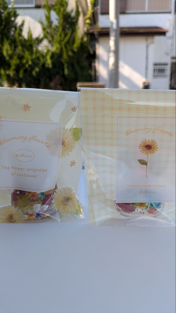 35☆薔薇と小華の舞姫姉妹❀✿☆．。．:*・゜