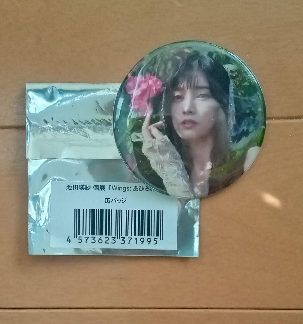 池田瑛紗 個展「Wings: あひるの夢」缶バッジ - メルカリ