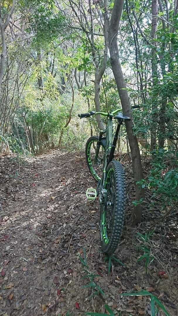 ★NTENSE&DVOコラボ27.5　フルカーボン世界限定100台！