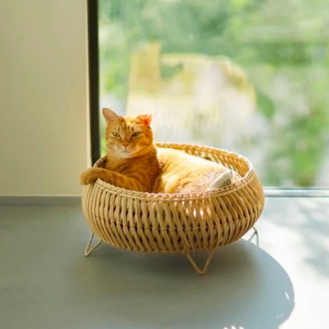 【美品】オルネコ オリジナル・スタンドバスケット　天然素材 編み込みバスケット