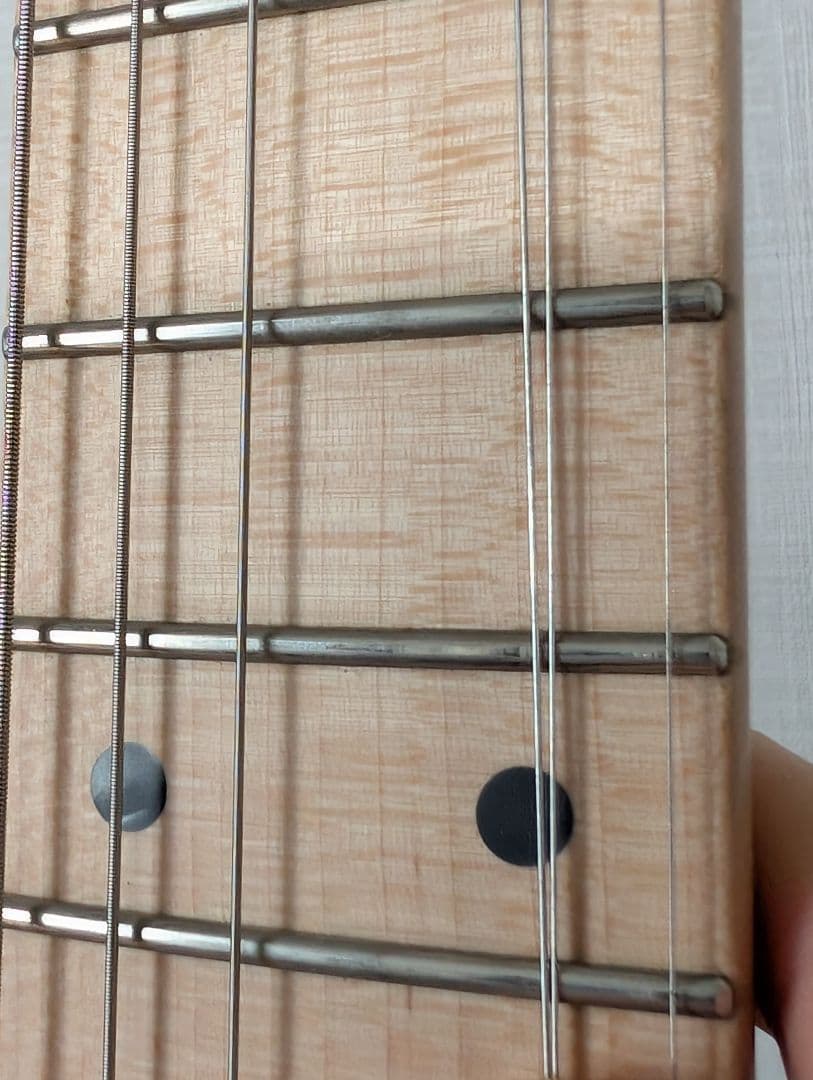 フジゲン Expert ODYSSEY EOS-ASH-M/SBB 中古 - メルカリ