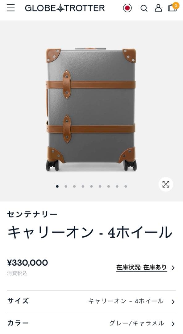 美品　GLOBE TROTTER センテナリーキャリーオンサイズ