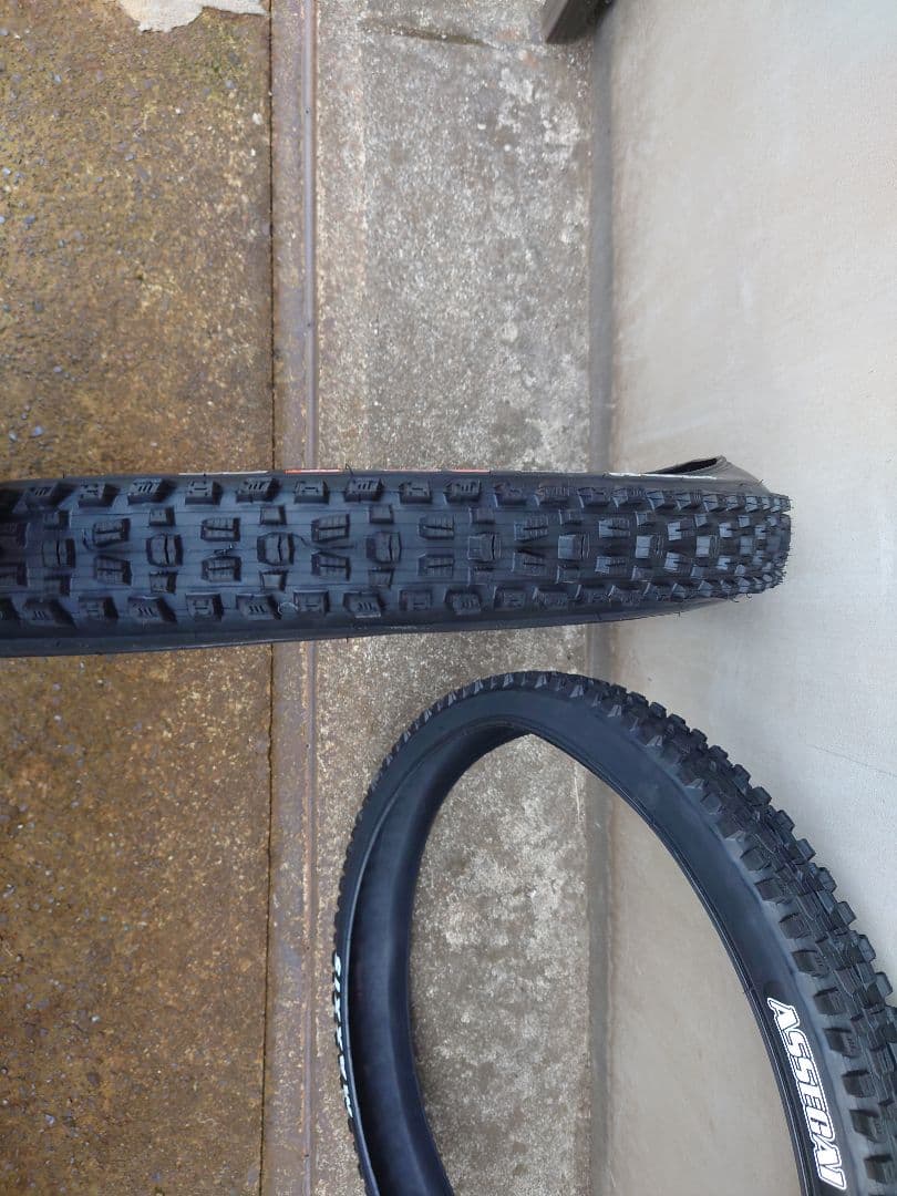 【２本セット】MAXXIS アセガイ 29×2.50【エンデューロケーシング】