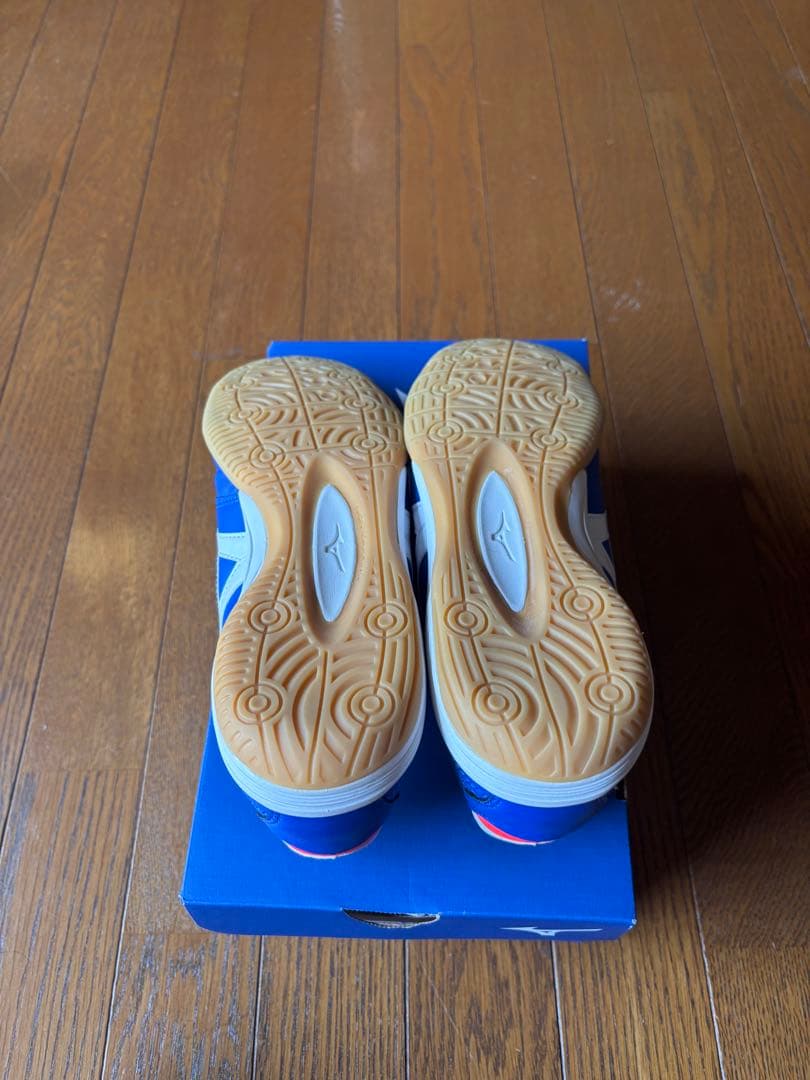 ミズノモレリアイン　限定カラー　25.5cm フットサル