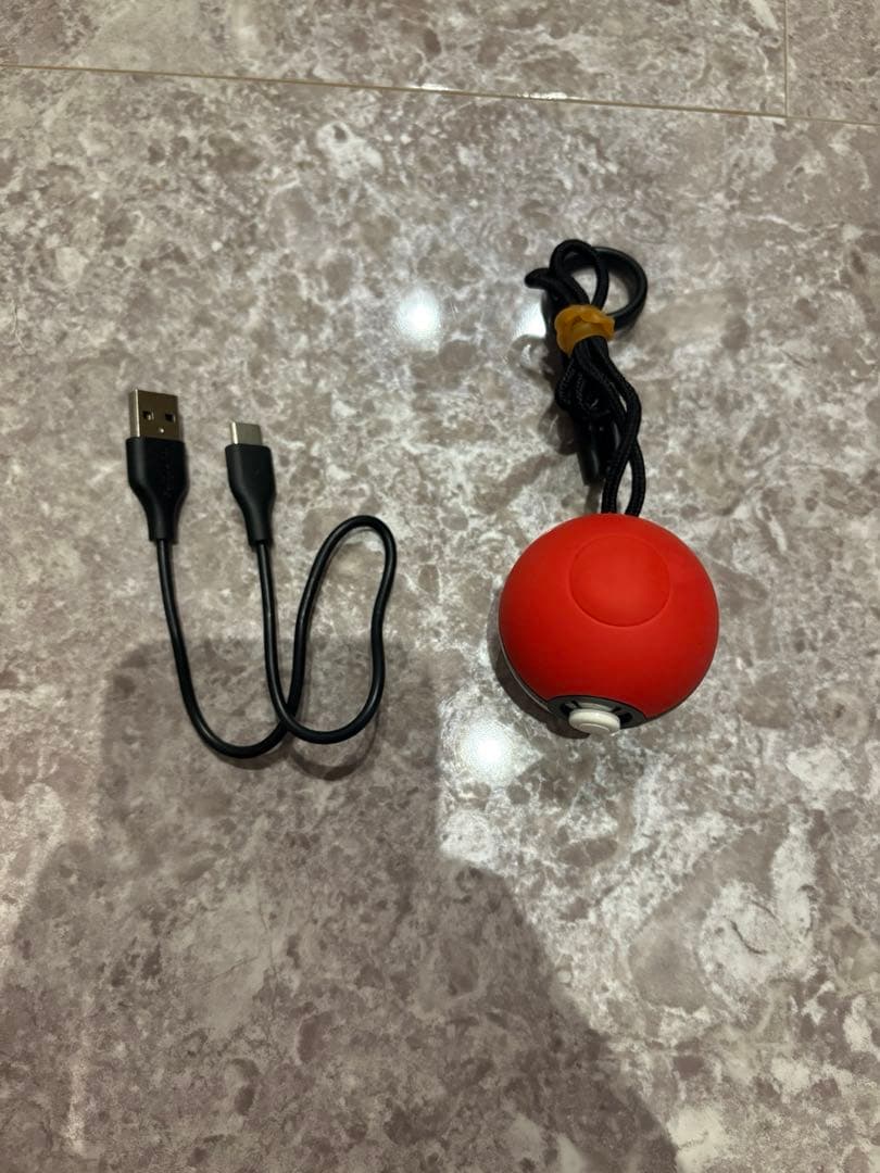 ニンテンドーSwitch イーブイ　動作品