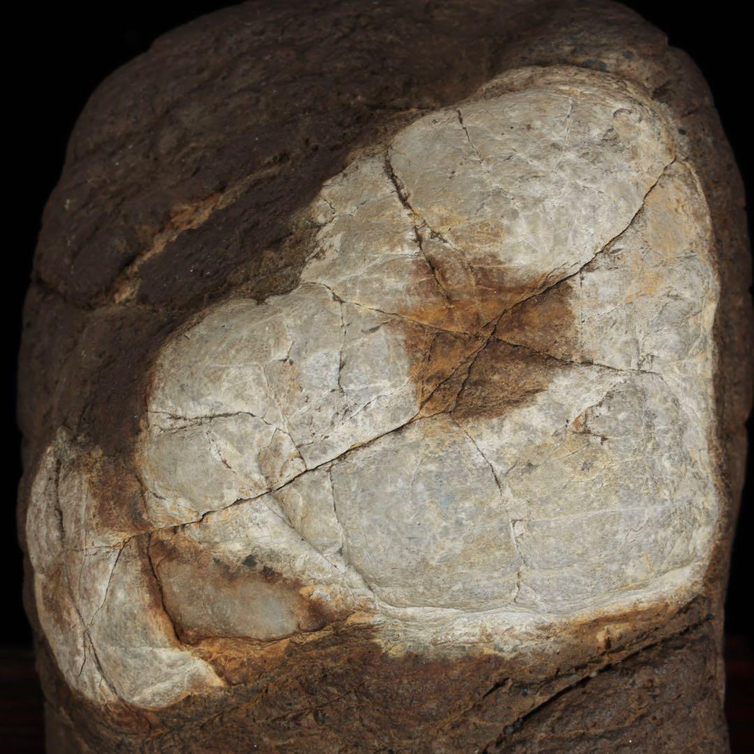 菊花石　花紋石 自然石 台座付 2.1kg 水石 置物 盆石 鑑賞石 原石 美石