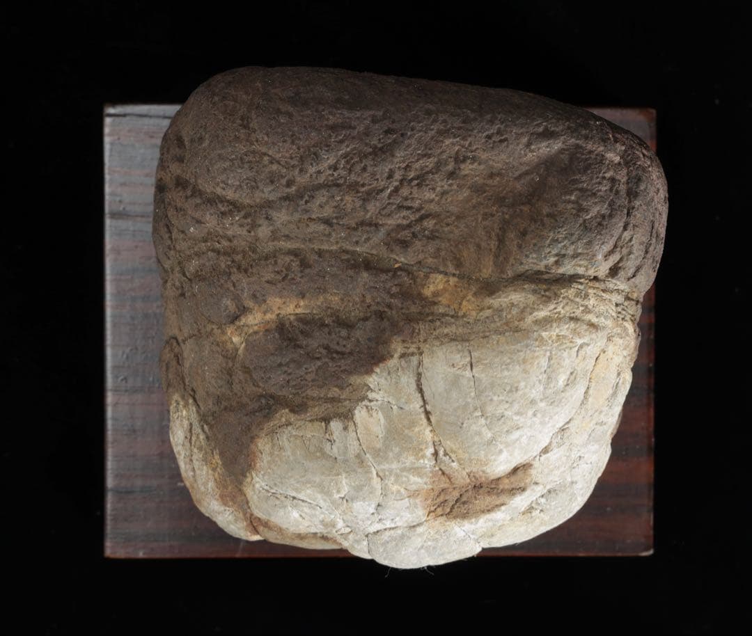 菊花石　花紋石 自然石 台座付 2.1kg 水石 置物 盆石 鑑賞石 原石 美石