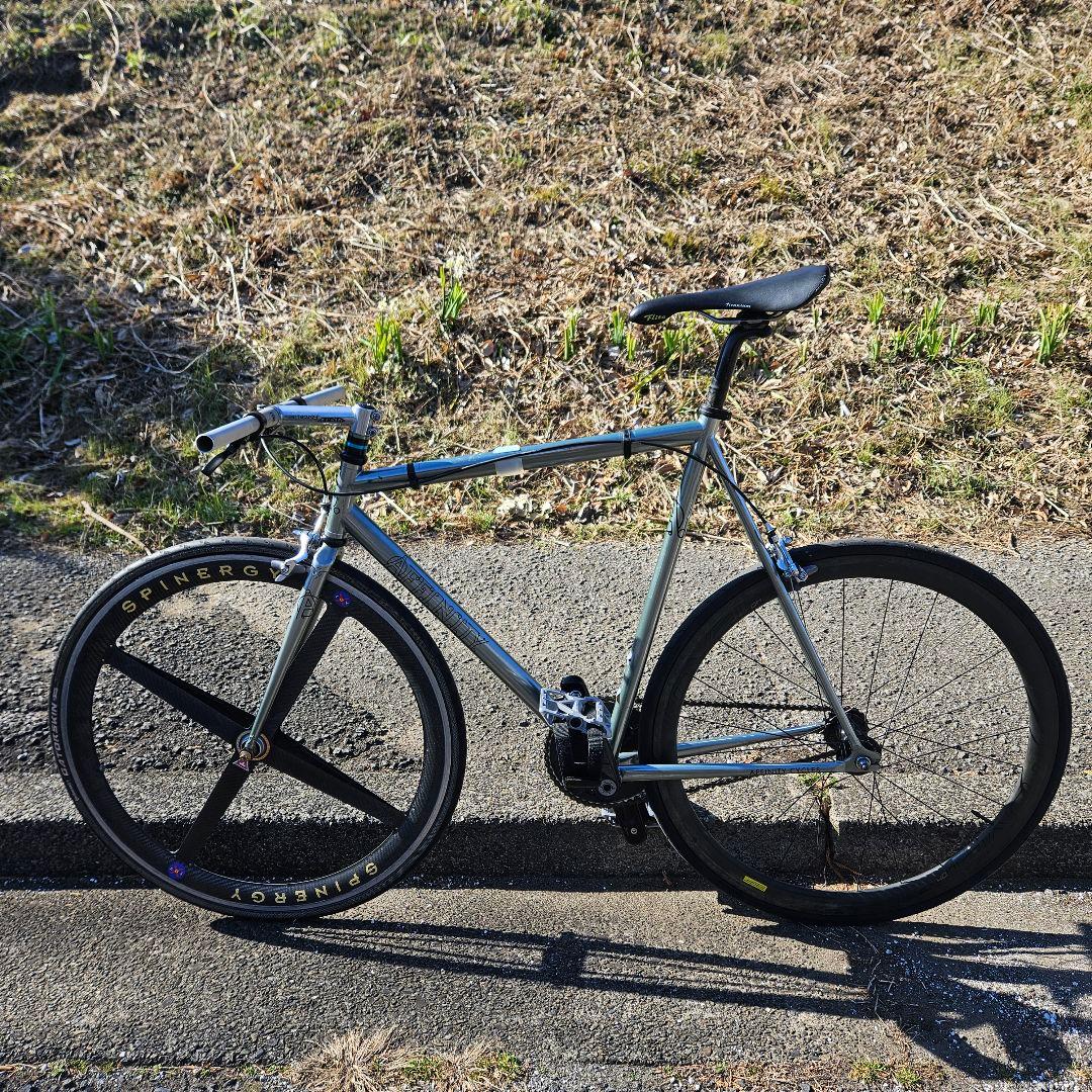 初期型　アフィニティー　ロープロ　フレームセット　M　パシュート