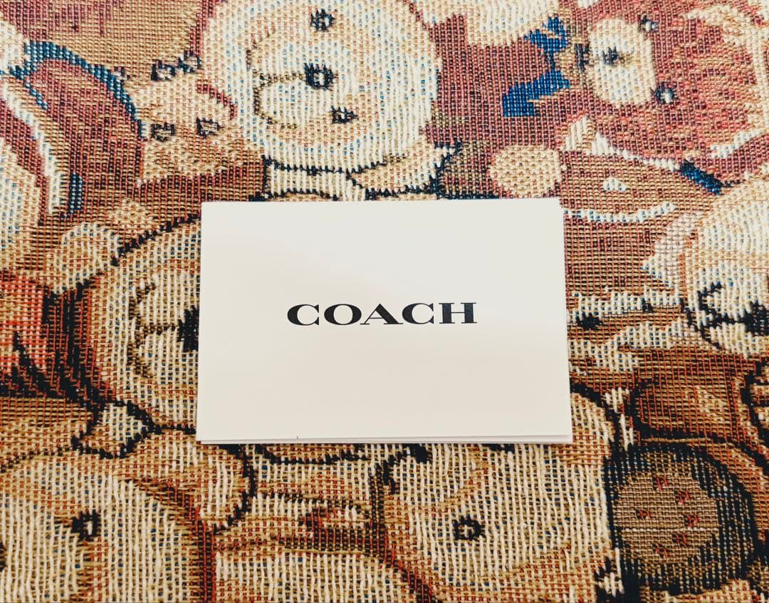［Hikotaページ] COACH ボストンバッグ 2WAY