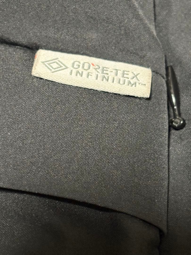 +Phenix プラスフェニックス　別注GORE-TEX ダウンジャケット　M