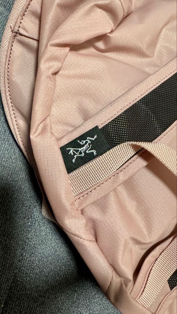 う*に様 【新品未使用・国内正規品】アークテリクス　ヒリアド15 Bliss 2