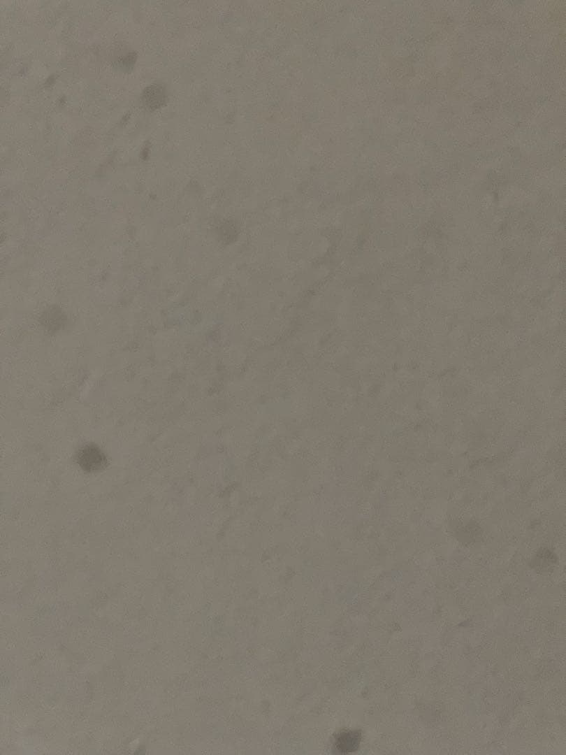 Apple iPhone 13 Pro Max シルバー 本体(中古)