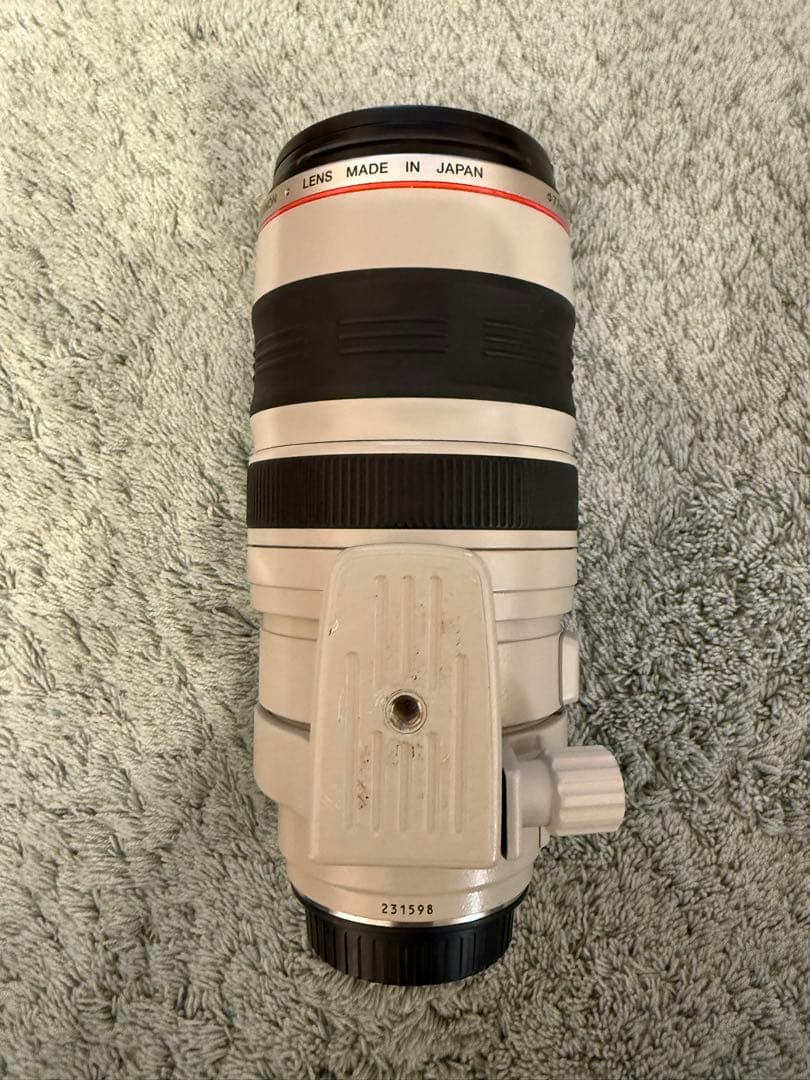 チ*中様 Canon EF 100-400mm f/4.5-5.6L IS US