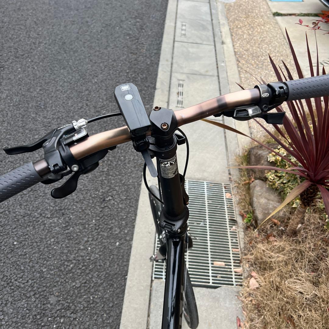 【ジャンク格安 】GIANT idiom