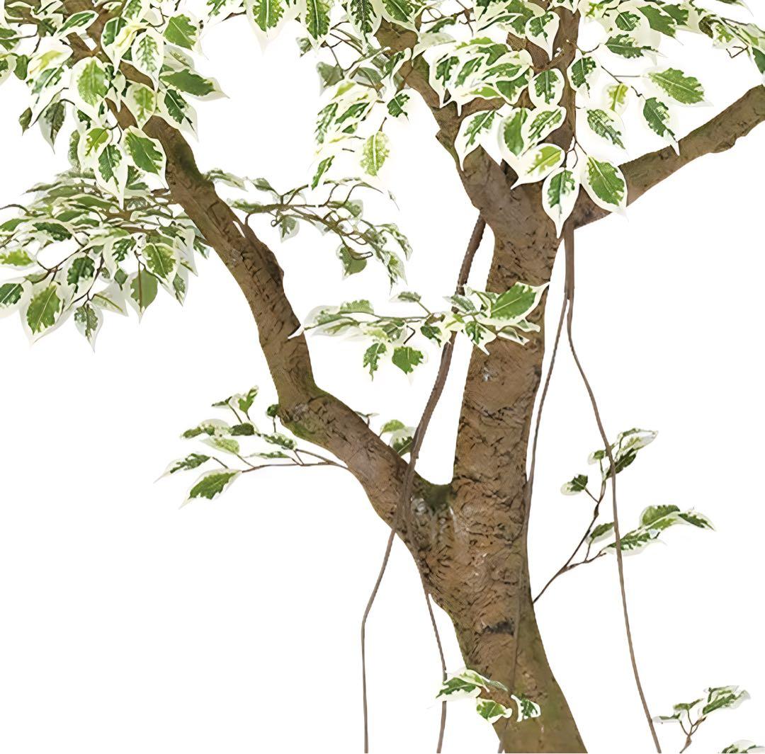 光触媒　人工観葉植物　フェイクグリーン　ベンジャミナスターライトコアッド