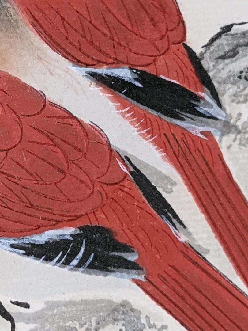 ♢中国 梅花尾長鳥 書画骨董 水墨画 絵画 骨董品 コレクション