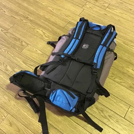 OZONE オゾン【FRENZY V10】9.0バーライン付き スノーカイト