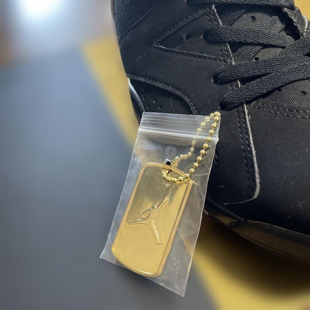 NIKE AIR JORDAN 6 RETRO DMP ハイカットスニーカ28