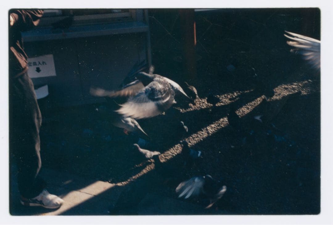 【極美品・作例付き】Eureka 50mm f2 ライカMマウントレンズ