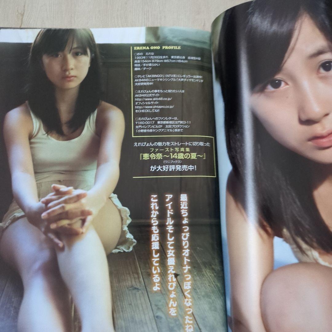 ヤングアニマル2008.11.14　ベルセルク特別カバー付録有り