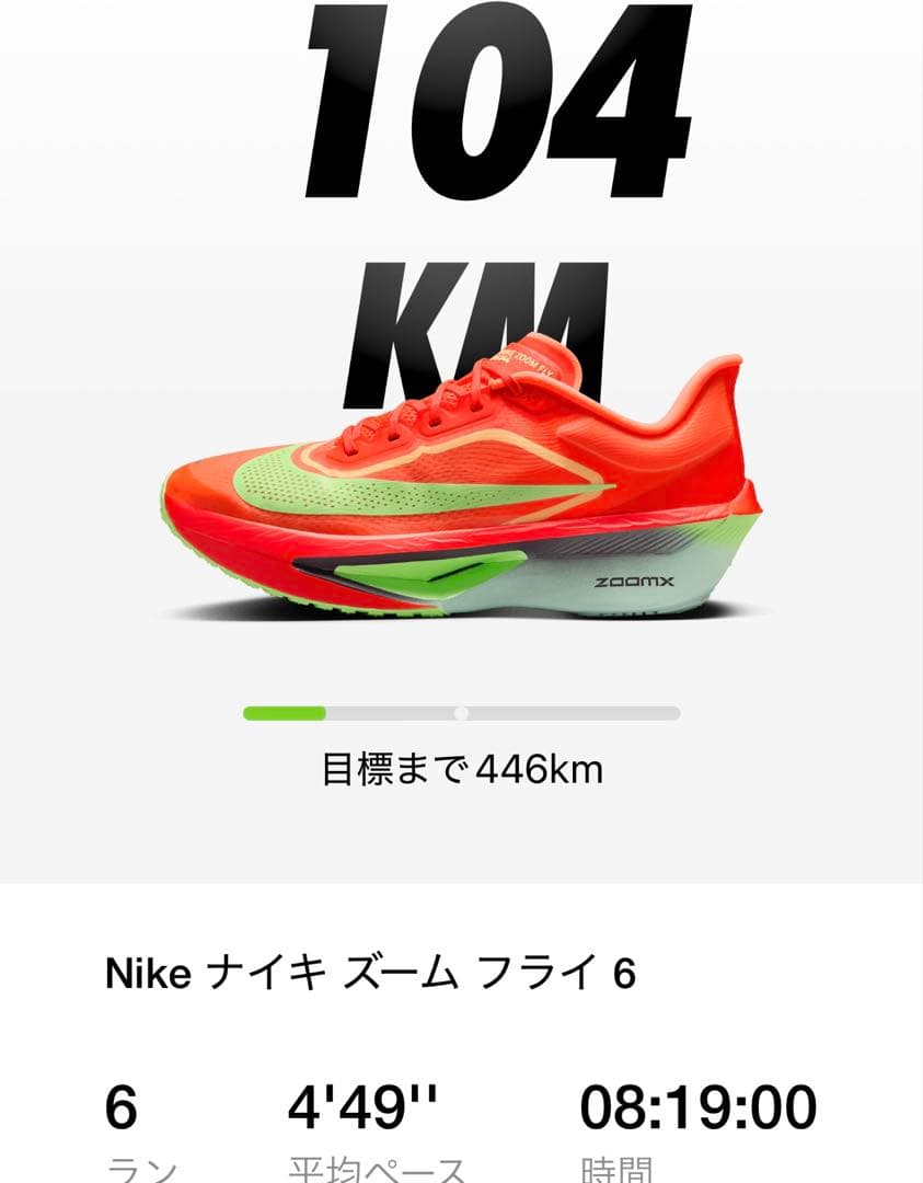 ナイキ　ズームフライ6 27.0cm