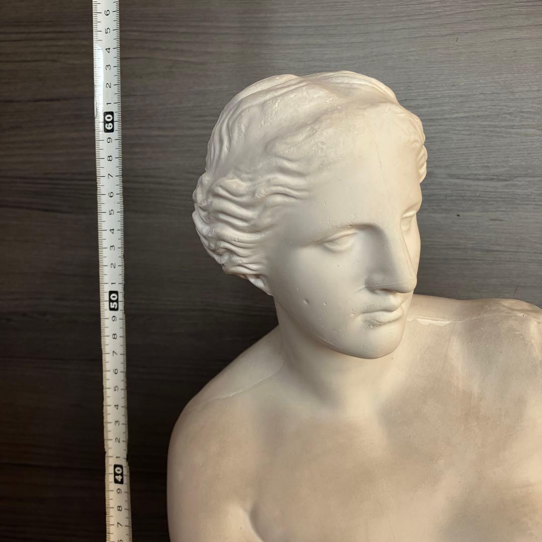 石膏像　ミロのヴィーナス　半身像