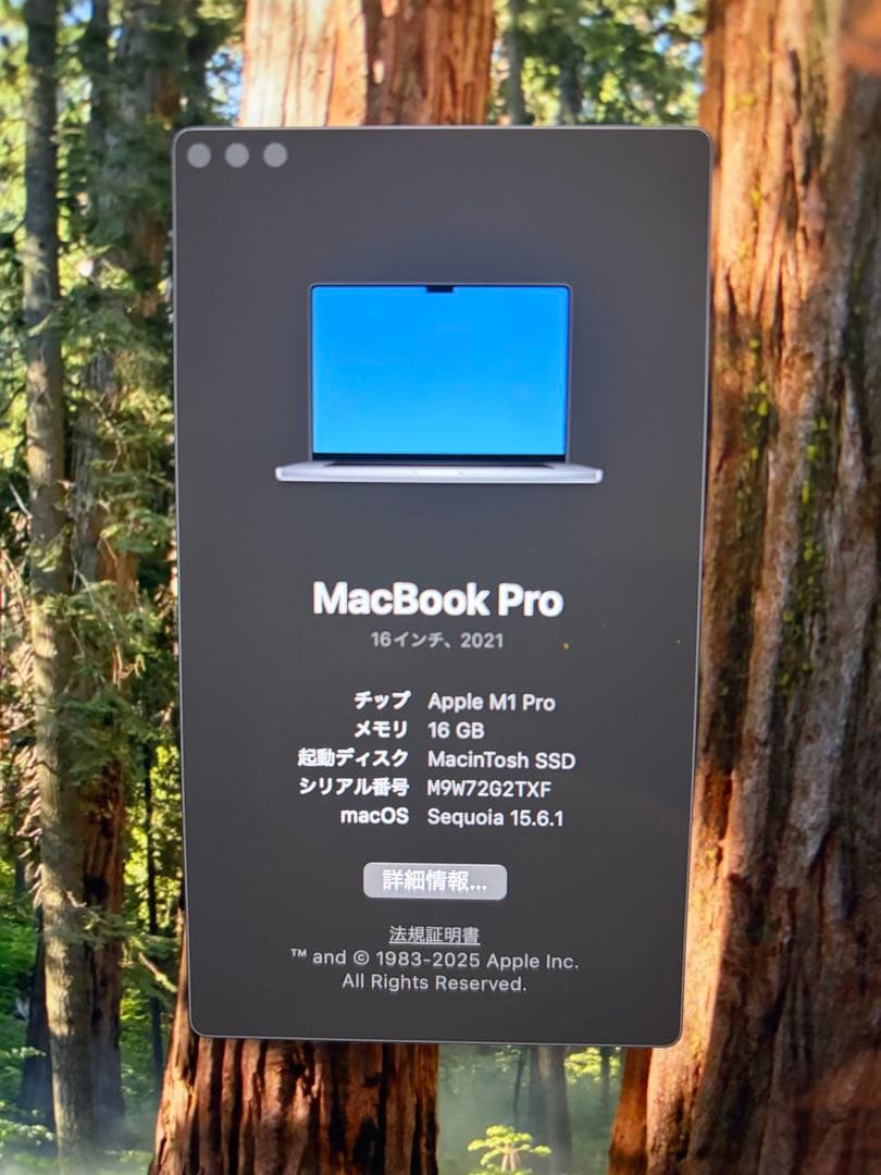 MacBook本体 MacBook Pro 16 M1 Pro 16GB SSD 1TB